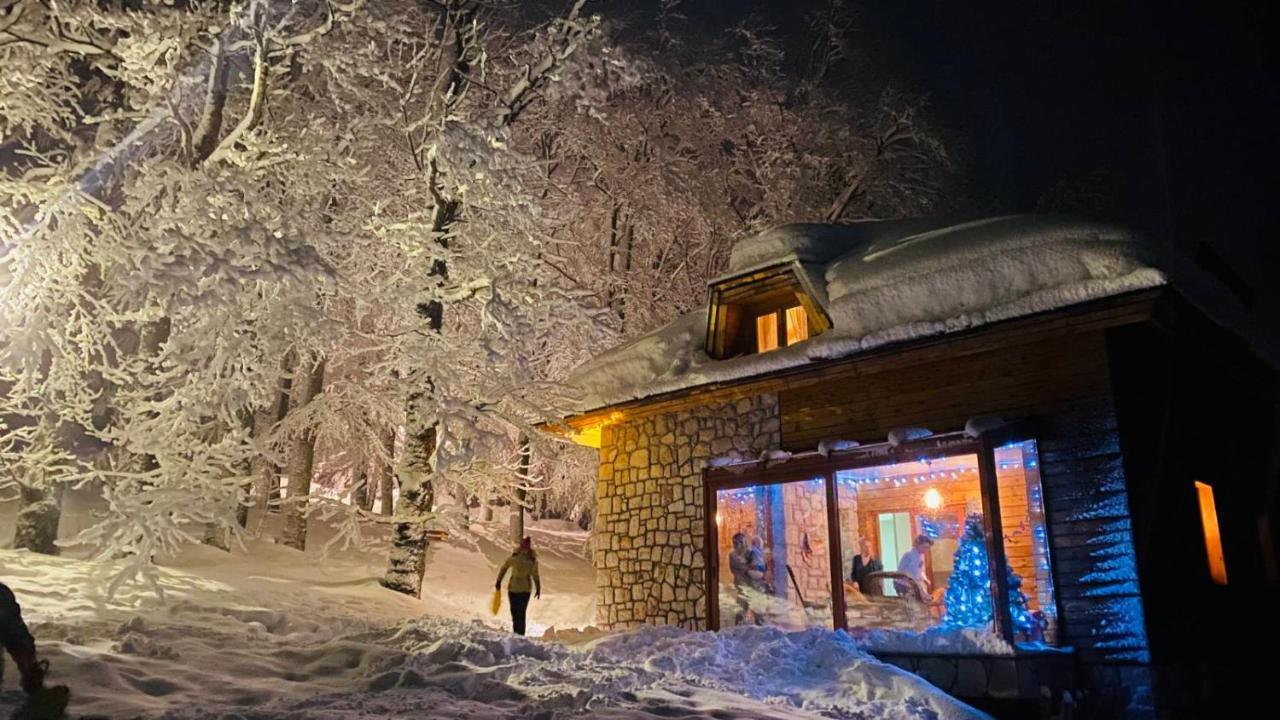 Green Forest Žabljak Exterior foto
