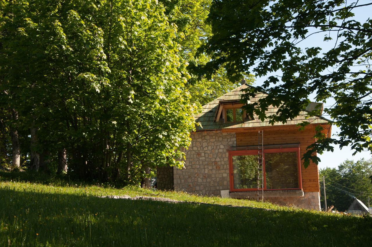 Green Forest Žabljak Exterior foto