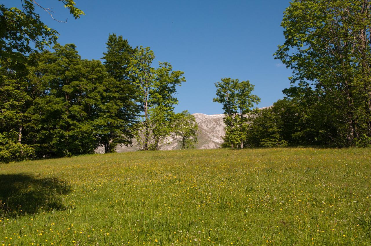 Green Forest Žabljak Exterior foto